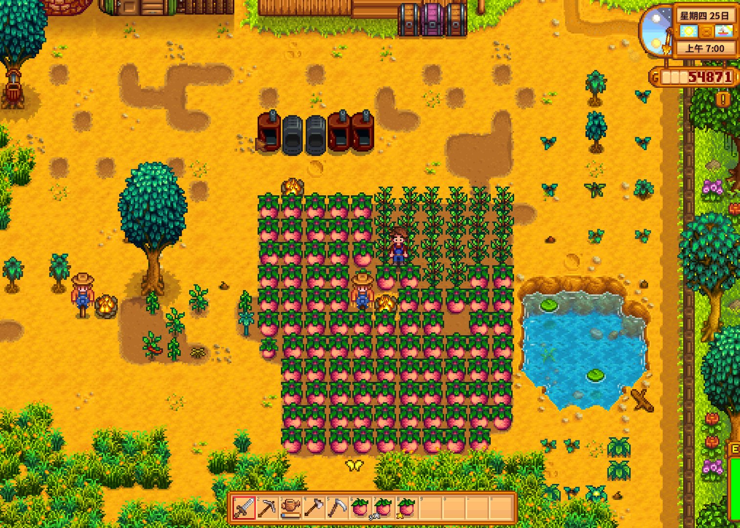 空洞骑士 豪华版 截图10